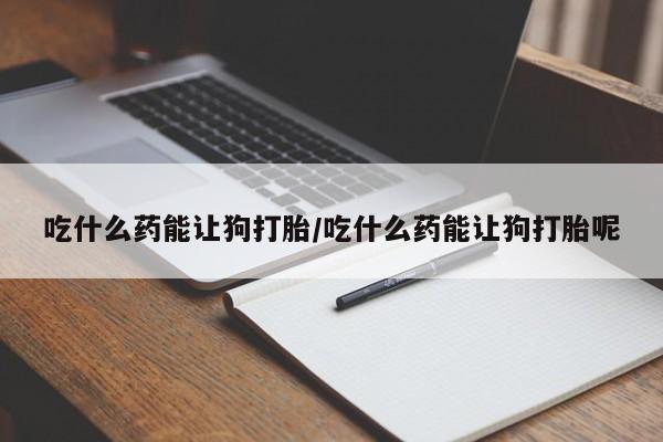 堕胎药怎么买吃什么药能让狗打胎/吃什么药能让狗打胎呢