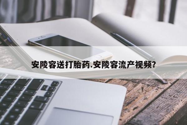 堕胎药怎么买安陵容送打胎药.安陵容流产视频？