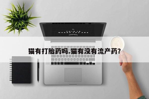 堕胎药怎么买猫有打胎药吗.猫有没有流产药？