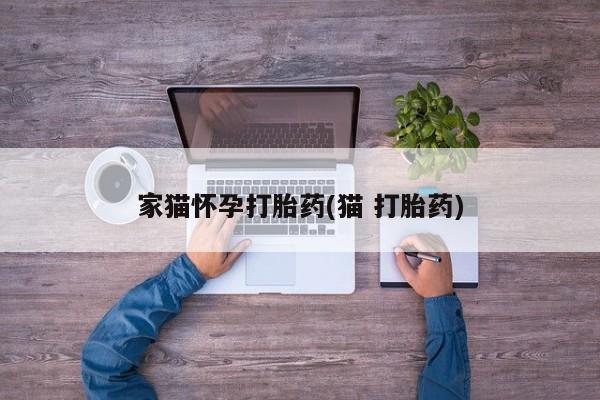 堕胎药怎么买家猫怀孕打胎药(猫 打胎药)
